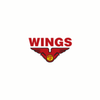 PT Wings Group