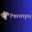 Pennyu Group